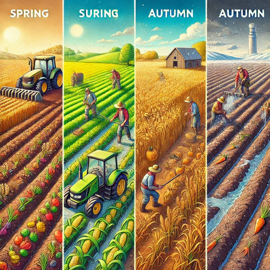 Seasonal Crop Care: Best Practices for Every Harvest