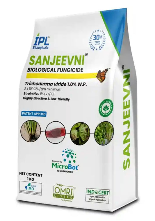 IPL - Sanjeevni Trichoderma viride 1.0% WP Bio Fungicide, Protects Crops From Soil-Borne Fungal Diseases