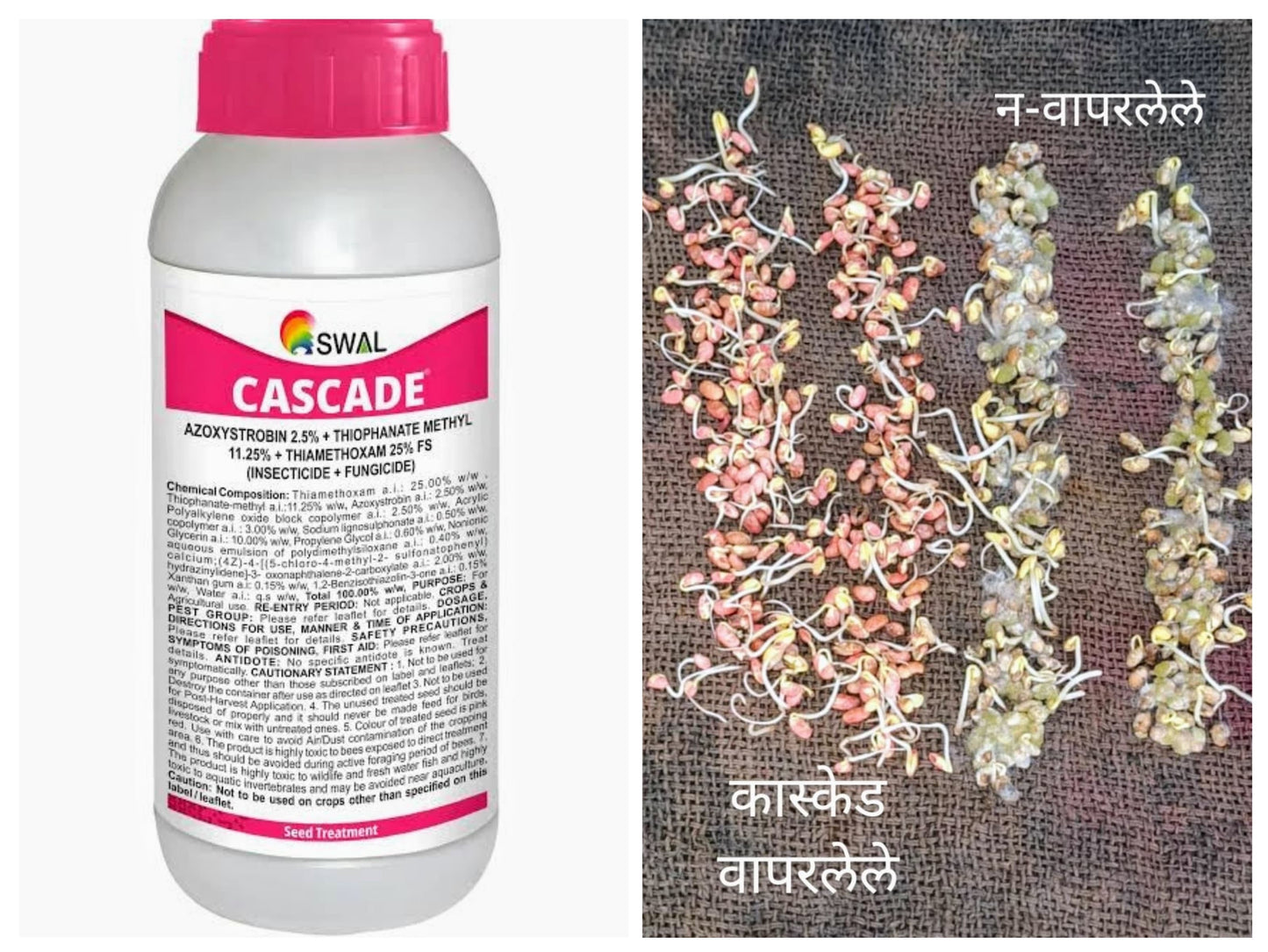 CASCADE - Seed Treatment - By SWAL - Azoxystrobin 2.5% + Thiophanate Methyl 11.25% + Thiamethoxam 25% FS