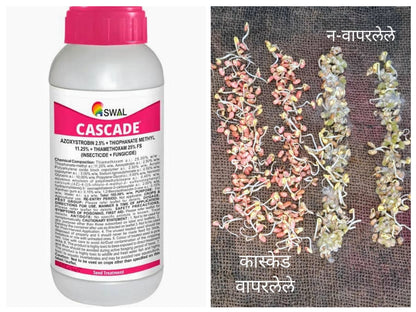CASCADE - Seed Treatment - By SWAL - Azoxystrobin 2.5% + Thiophanate Methyl 11.25% + Thiamethoxam 25% FS