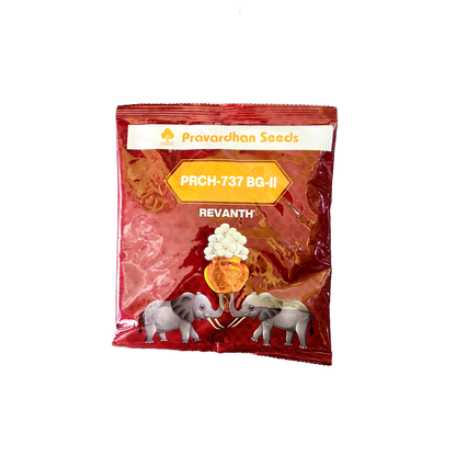 Revanth - Pravardhan Seeds