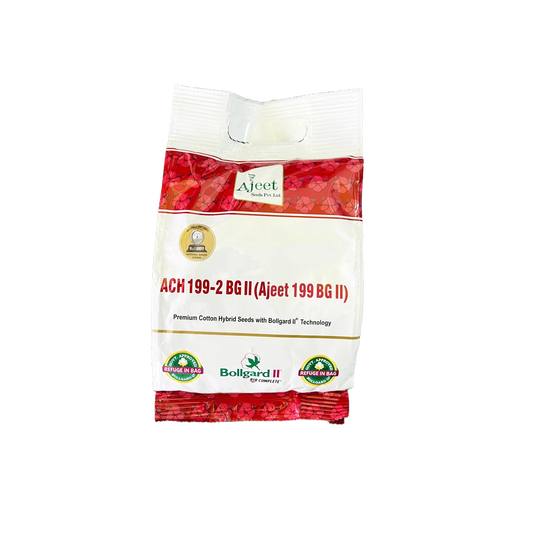 ACH -199 - Ajeet Seeds