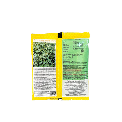 Sowbhagya BG II - Pravardhan Seeds