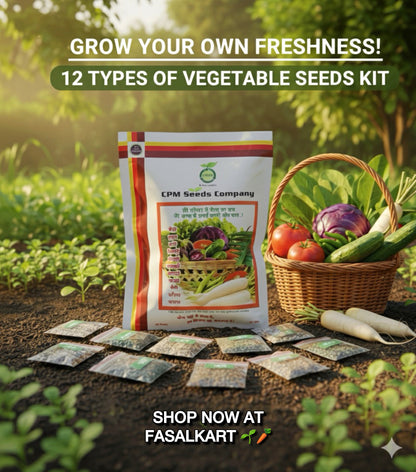 Vegetable seeds Kit