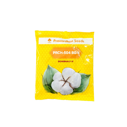 Sowbhagya BG II - Pravardhan Seeds