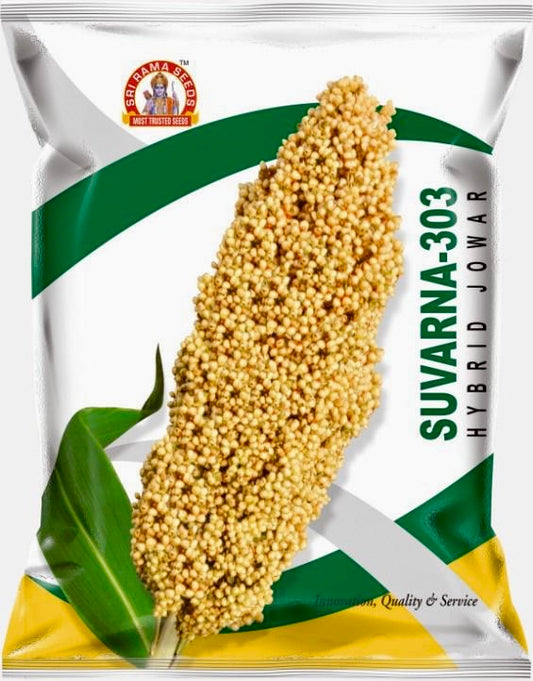 Jowar - Suvarna-303 By Sri Rama Agri Gentics