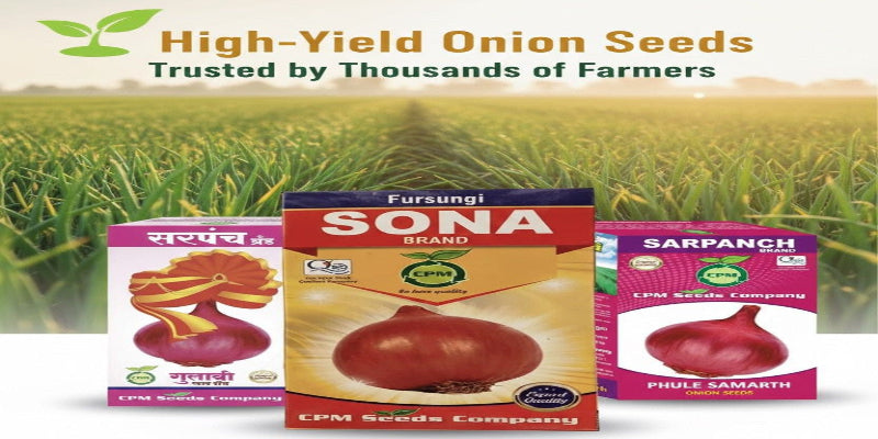 Three boxes of Fursungi Sona, Sarpanch, and Sarpanch onion seeds with a field background.