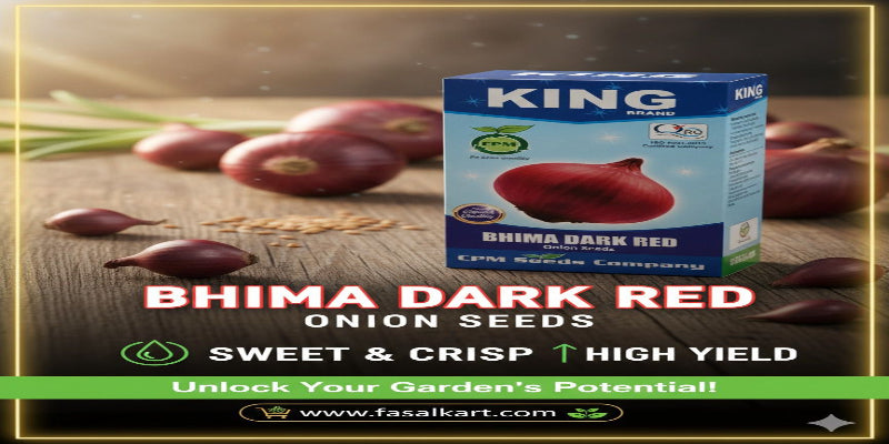 King Bhima Dark Red onion seeds packaging with onions on a wooden surface