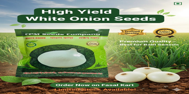 Package of CPM Seeds Company white onion seeds with onions on soil and grass background